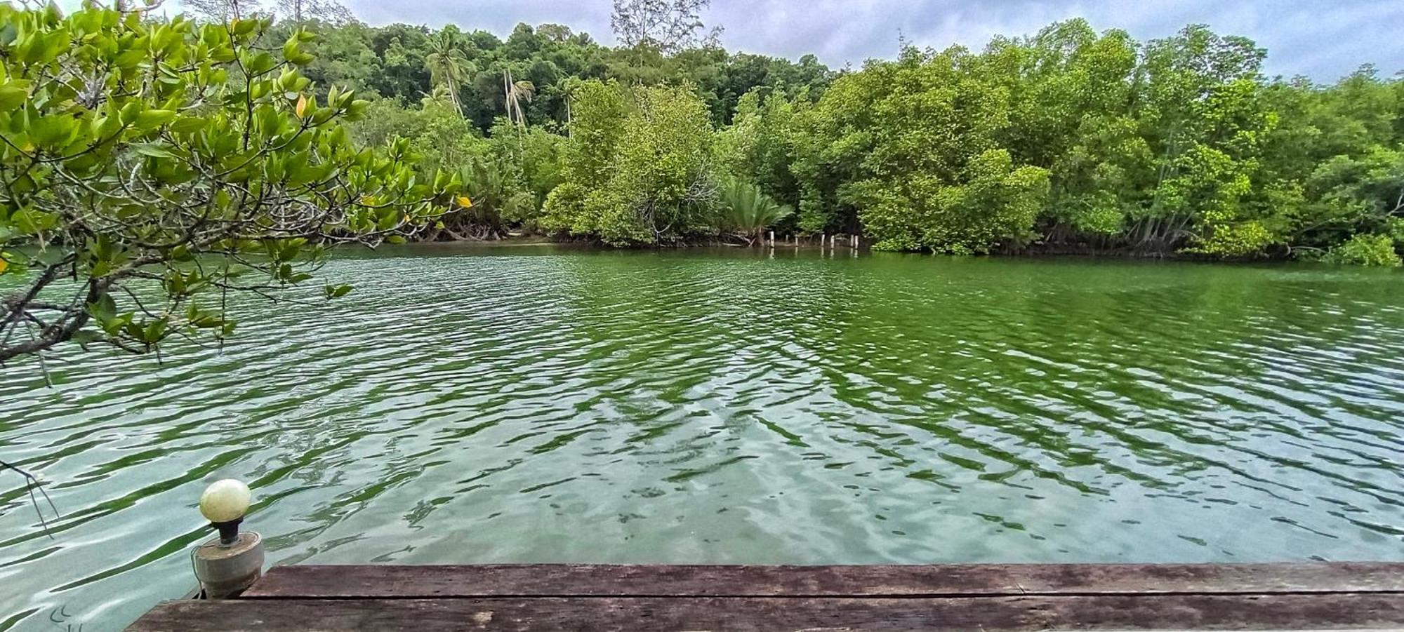 Ta Yai Homestay  Ko Kut Luaran gambar